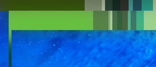 Freon2009_green_big