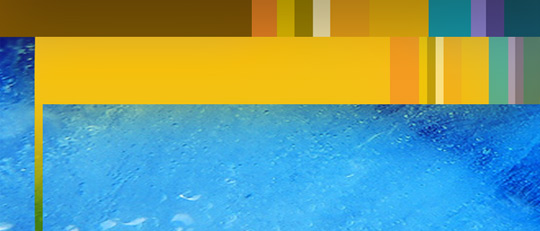 Freon2009_yellow_big