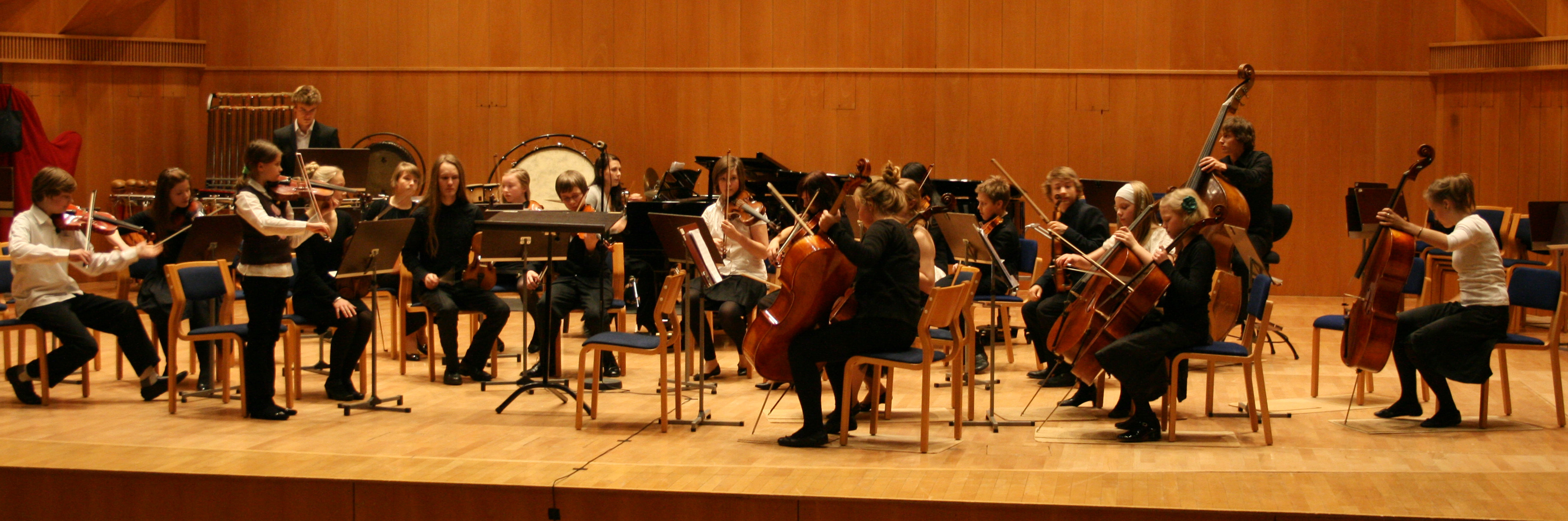 Orch.finlandese