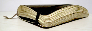 Agenda Moleskine